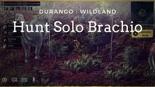 Tutorial - Hunt Brachio ( Solo )