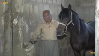 slimani ako mejid پرۆژەی بە دۆكۆمێنتكردنی كەساییەتی و پیشەوەرانی شاری سلێمانی...2017