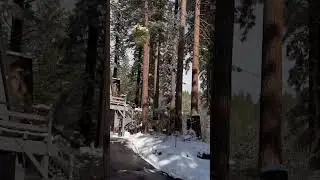 Ponderosa Neighborhood of Incline Village #skitown #laketahoerealestate #homedesign