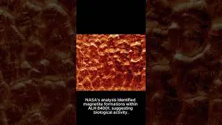 Unlocking the Secrets of Mars Life: The Tale of ALH 84001 #MarsLife