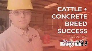 Успех породы крупного рогатого скота и бетона | The American Rancher