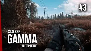 STALKER GAMMA 0.9.4 &mdash; Обустройство хаты и научная работа + интерактив (3)