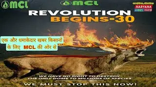 Revolution Begins- Episode 30 