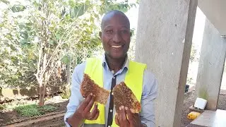 @MAZIIBA_AGRIC  bee keeping series #honeybee #bees