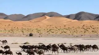 MARROCTOURS.COM BEST TOURS IN MOROCCO & DESERT TRIPS