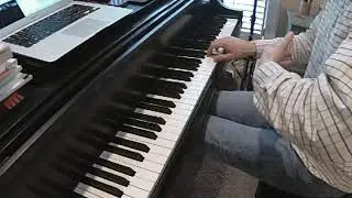 Mozart 545 mvt. 1 some dynamics suggestions in mm. 1-12