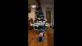 Bilingual Family Decorates the Christmas Tree 🎄 | Learn Chinese & English Together