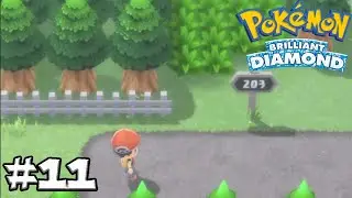 Исследуем маршрут 203! Давайте поиграем в Pok&eacute;mon Brilliant Diamond! |Эпизод 11|