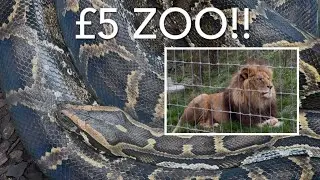  This week we went to a zoo full of crocs and lions for &pound;5.50! Cheapest zoo ever ?