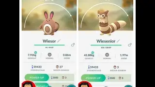 Pok&eacute;mon GO - Wiesenior entwickeln