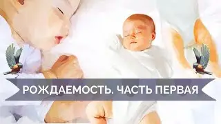 Рождаемость в мире.Вымирание цивилизации? Второй демографический переход. Алексей Ракша и Майкл Наки