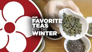 Our Favorite Teas for Winter