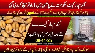 Today Wheat Rate | Bajra price today | feed mills inter in commodities | Moong rate | Sarso price
