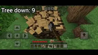 i chop down 11 trees in Minecraft pocket edition