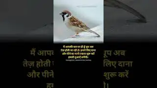 save birds ❤️😍🐦🕊️#shorts #motivation #motivationvideo