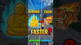 BUDDHA is FASTER than TIGER?😱 | Blox Fruits SPEED TEST#roblox #bloxfurit #tigerfruit #buddha #shorts
