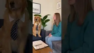 Dog Interviews Potential Owner #aigenerated #cuteanimals #funny #interview #goldenretriever #humor