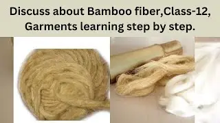 Discuss about Bamboo fiber,class 12, Garments learning step by step