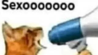 cat and dog by thanos and nell