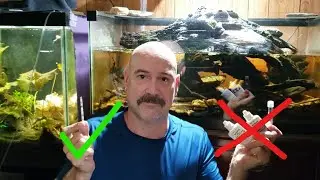 I Compared Tetra Easy Strips To API Nitrate Test So You Don't Have To