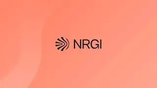 Natural Resource Governance Institute (AR)