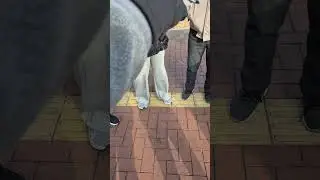 대구아파트 상승이유
