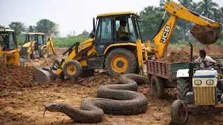 JCB Excavator 205 NXT Making Pond For Fish Farming TATA 2518 Tipper Mahendra NOVO 605 Tractor 