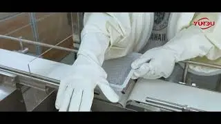 TSB Pre-Filled Syringe Automatic Nesting Machine