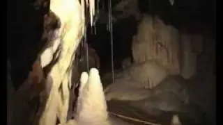 Underground in the Forest of Dean