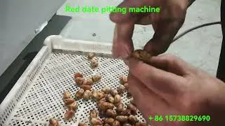 Automatic date pitting machine