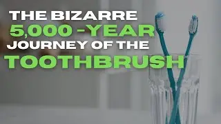 From Chew Sticks to Smart Brushes: The Surprising History of the Toothbrush You Never Knew