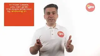 How to use the NPS Ultrasonic Dog Training Device
