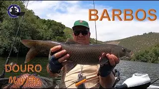 BARBOS no Douro