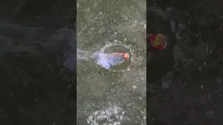 FIREWORKS IN WATER