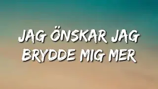 Hov1 - Jag önskar jag brydde mig mer (Lyrics)
