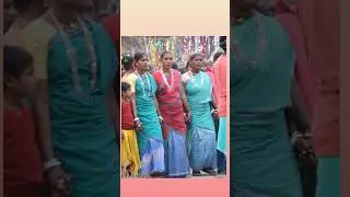 Simbra mandro sorhai video 2023