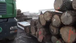 Drvo-trgovina Slatina - Prvi trupci u novoj tvornici, 12.12.2014.