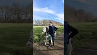 Ponyrijden bij het keelven.  lekker uitwaaien met een buitenrit.