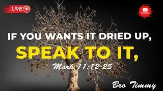 SPEAK TO IT | PRAYER MEETING | BIBLE | MARK 11 | LIVE | BRO TIMMY