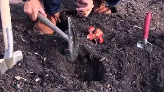 Garden Tools Review