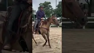 Georgia Quarter Horse Association Novice Show 2024