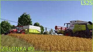 Hirse Dreschen | LS25 | Ein bisschen Helfer, ein bisschen Drescher