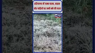 हरियाणा के कई जिलों में पहली बार जमा पाला #hariyana #winter #lowtemperature  #shorts #reels #viral