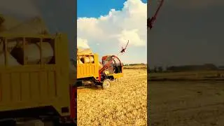 Creative vehicles to transport hay easily #shorts
