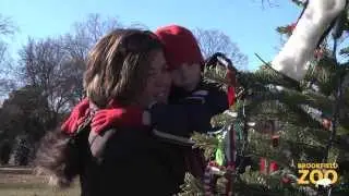 Annual Tree Trim at Brookfield Zoo