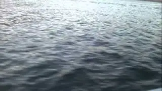 Joe The Show Cronin Boat on Lake Pleasant hauling some ass with boys