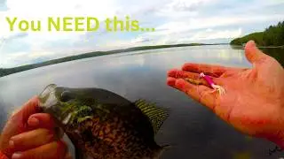 The Ultimate Crappie Jig Setup You&rsquo;re NOT Using (But Should Be)