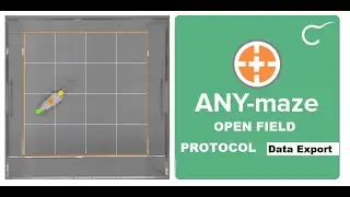How to Extract Open Field Test Data from AnyMaze Software into Excel