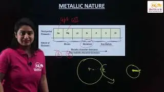 Ch 5 - Periodic Classification of Elements | Trends in Chemical Properties