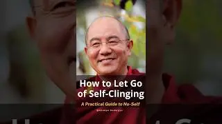 Searching for the Self: Science, Philosophy, and the Buddhist View | 寻找自我：科学、哲学与佛教的视角
